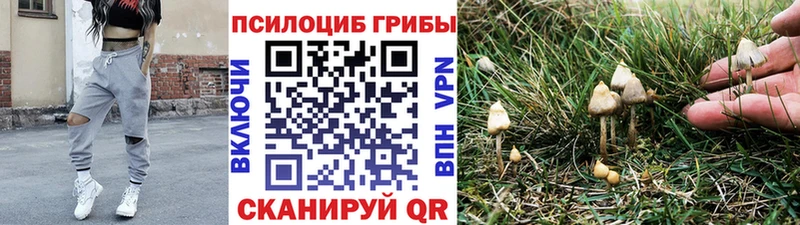 Псилоцибиновые грибы GOLDEN TEACHER  mega ТОР  Козловка 