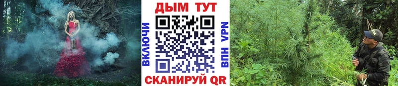 omg сайт  цена   Козловка  Бошки марихуана индика 